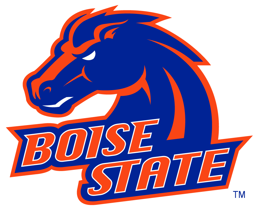 Boise State Broncos 2002-2012 Alternate Logo v5 diy DTF decal sticker